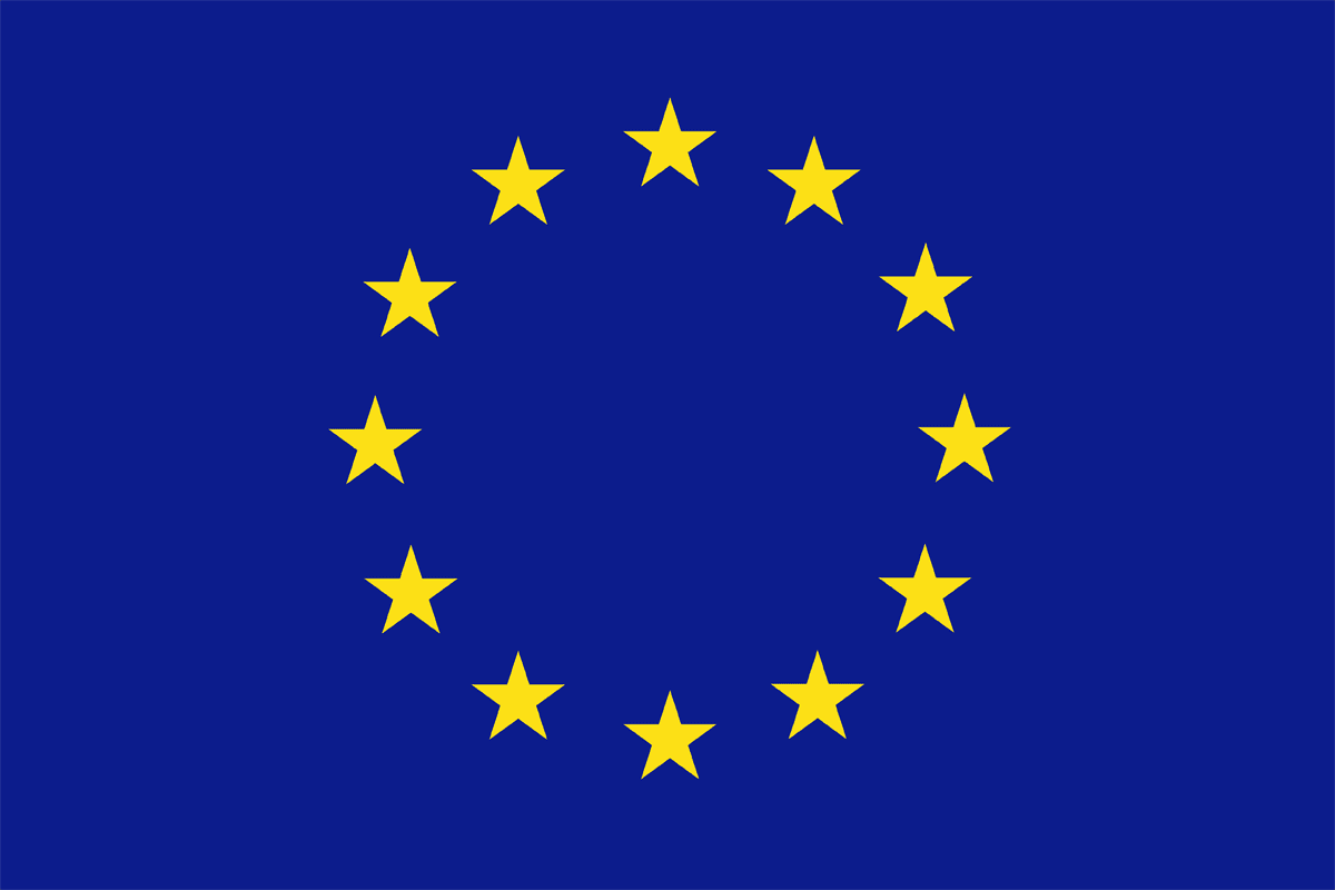 EU Delegation.png